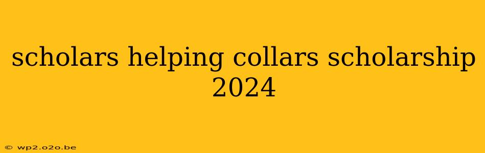 scholars helping collars scholarship 2024