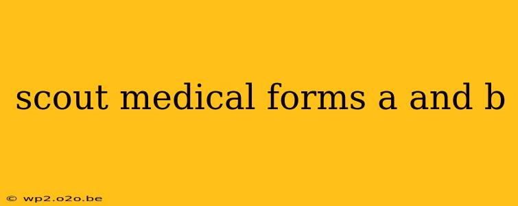 scout medical forms a and b