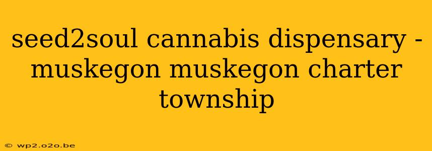 seed2soul cannabis dispensary - muskegon muskegon charter township