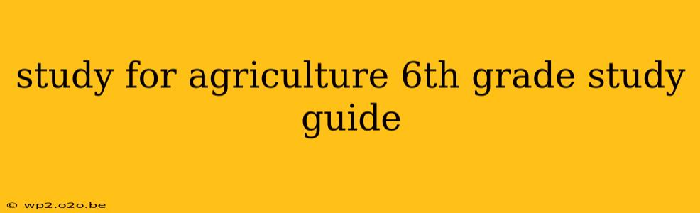 study for agriculture 6th grade study guide