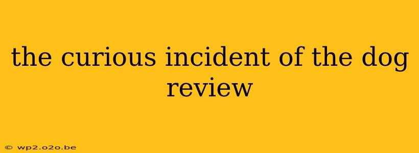 the curious incident of the dog review