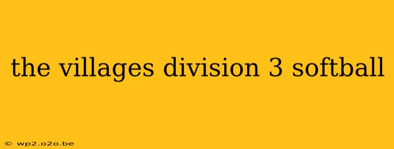 the villages division 3 softball