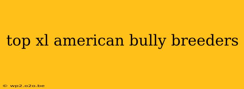 top xl american bully breeders