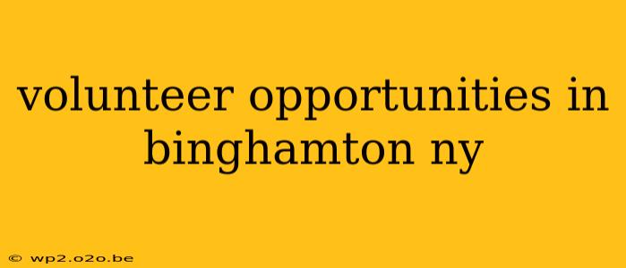 volunteer opportunities in binghamton ny