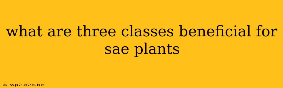 what are three classes beneficial for sae plants