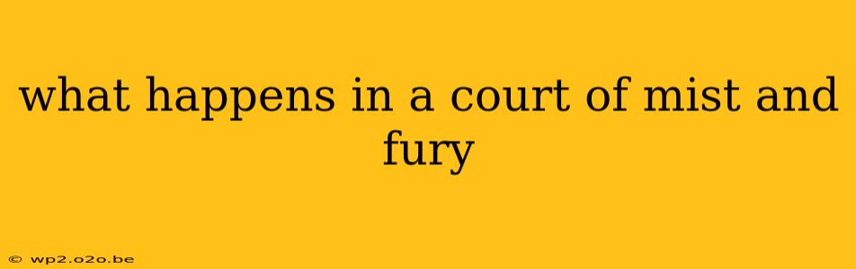 what happens in a court of mist and fury