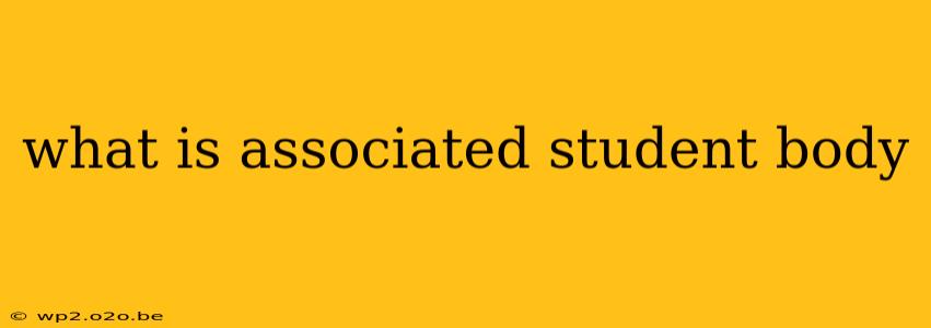 what is associated student body