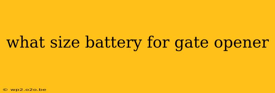 what size battery for gate opener