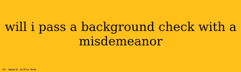 will i pass a background check with a misdemeanor